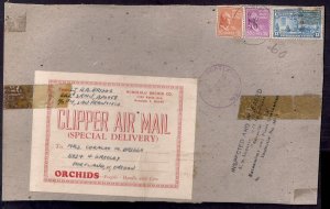 Prexie Clipper AIRMAIL Piece used to ship ORCHIDS 1945 #831 #E17 Exciting Find!