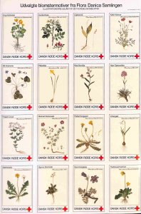 Denmark Danmark Red Cross Poster stamps seals flowers and plants (4)