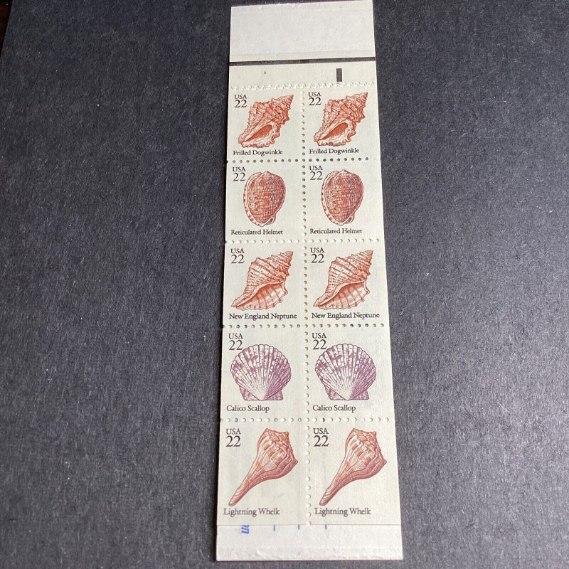 U.S. Seashells stamps: When and where they will be issued