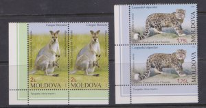 MOLDOVA - 2013 CHISINAU ZOOLOGICAL GARDENS / LEOPARD & KANGAROO 2V PAIR MNH