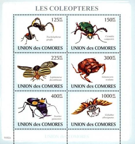 COMORES 2009 SHEET BEETLES LES COLEOPTERES SCARABEE LADY BUGS INSECTS cm9102a