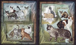 Central Africa-2 used sheets-Animals-Cats-Oriental Shorthair-2012-