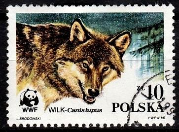 Poland 1985 Sc. 2680 used (3624)