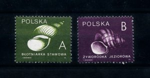 [99840] Poland 1990 Marine life sea shells  MNH