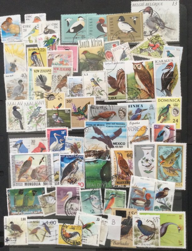Birds - Selection of used stamps. 100+ off paper world mix (B).