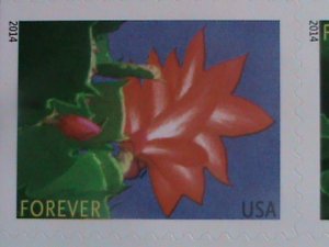 ​UNITED STATES-2014 SC#  4865b -AMERICAN WINTER FLOWERS -MNH BOOKLET-VERY FINE