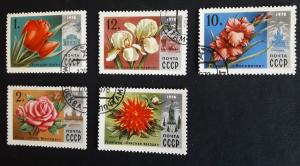 Flowers, 1978, (73-Т)