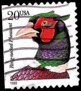 # 3050 USED RING-NECKED PHEASANT