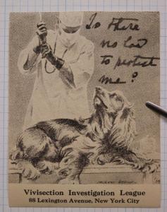 Vivisection Investigation League Animal Cruelty Protection Law Poster Charity