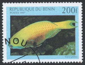 Benin #1049 Heavyback Parrotfish; CTO