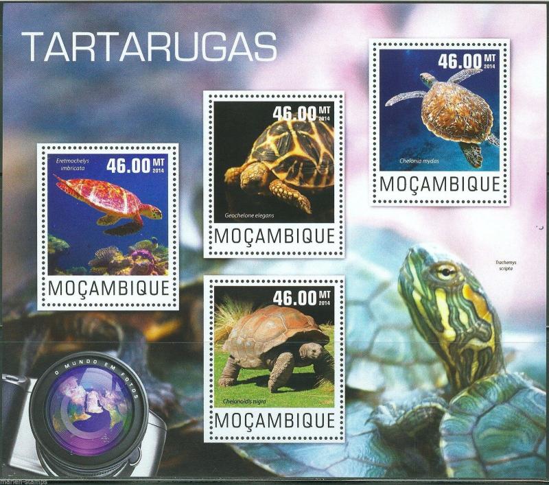 MOZAMBIQUE  2014   TURTLES  SHEET   MINT NH