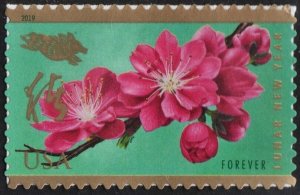 SC#5340 (50¢) Lunar New Year: Year of the Boar (2019) SA