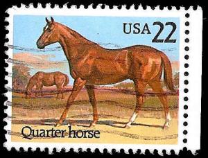 # 2155 USED QUARTER HORSE