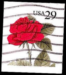 # 2490 USED RED ROSE