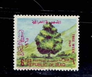 IRAQ SCOTT#367 1965 DECIDUOUS TREE - USED