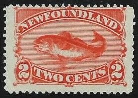 Newfoundland #48 OG Pretty Stamp