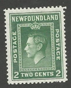 Newfoundland 245  Mint