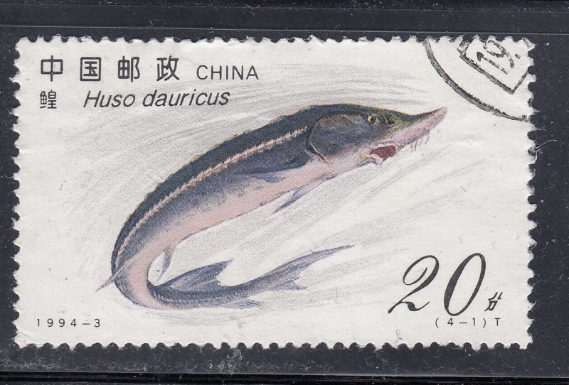 China 1994 Sc#2487 Kaluga (Huso dauricus) Used