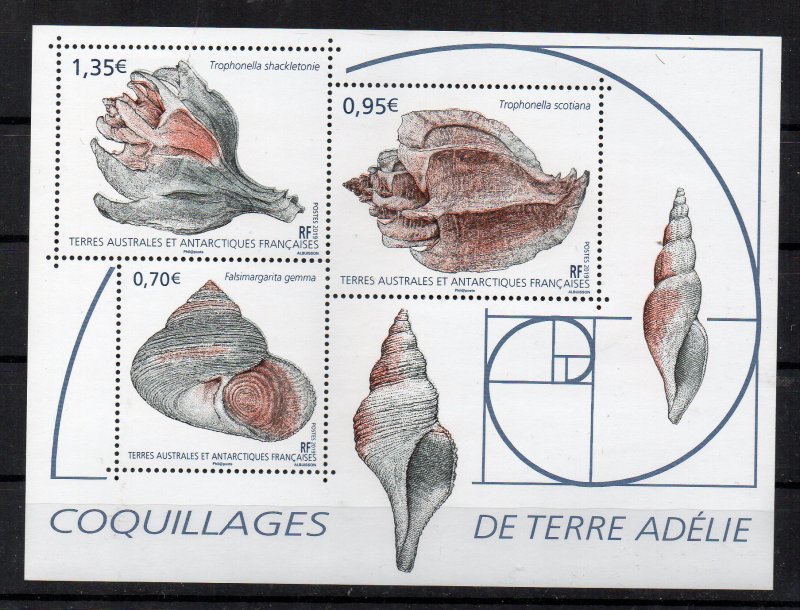 FRANCE - TAAF - FSAT - 2019 - M/S - SEASHELLS - SHELLS FROM TERRE ADELIE -