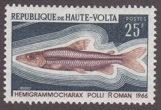 Burkina Faso 197 Hemigrammocharax Polli 1969