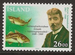 Iceland #683   MNH