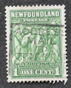 DYNAMITE Stamps: Newfoundland Scott #183 – USED