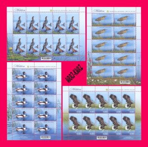 MOLDOVA 2021 Nature Fauna Birds Cormorant Bittern Duck Eagle 4 m-s MNH