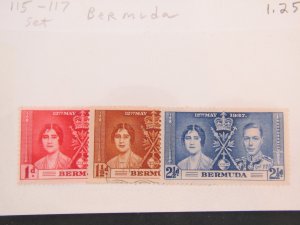 Bermuda 115-117 MH