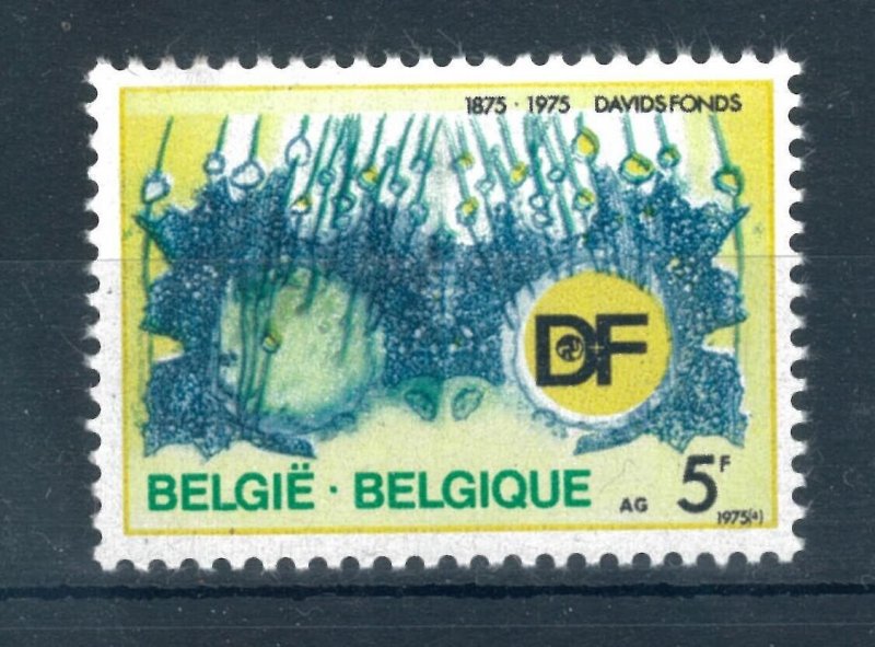 Belgium 1975 Centenary of Davids Foundation stamp. MNH. Sg 2382