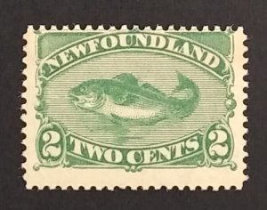 Newfoundland 47 F MNH