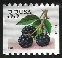 USA #3406  PNC #G1111