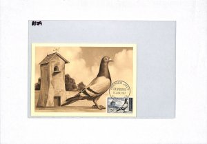 FRANCE 1957 FDC Le Gentil *PIGEON* Maxi-Card Colombophilie BIRDS First Day RF29