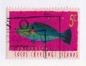 Cocos Islands      304              used            Fish