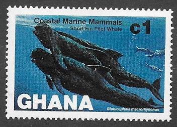 Ghana  Scott 841  Mint