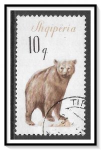 Albania #884 Various Bears CTO