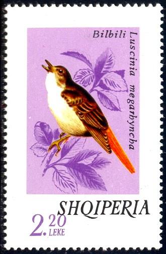 Song Bird, Thrush Nightingale, Albania stamp SC#1600 MNH