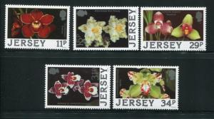 Jersey #442-6 MNH (Box2)