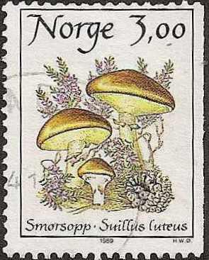 Norway - 889 - Used - SCV-0.20