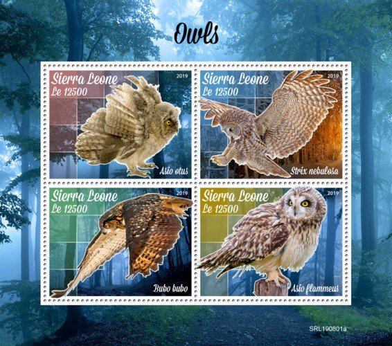 SIERRA LEONE - 2019 - Owls - Perf 4v Sheet - MNH