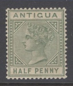 Antigua Scott 12 MNH