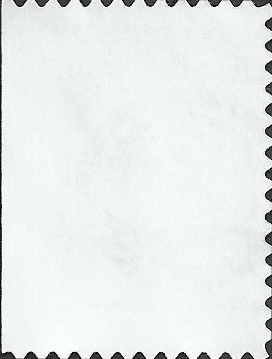 # 3998 USED WEDDING DOVES