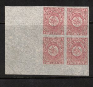 Newfoundland #18ii Extra Fine Never Hinged Block Watermarked *With Certificate*