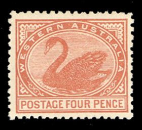 Western Australia #93 Cat$50+ (for hinged), 1905 4p orange brown, never hinged