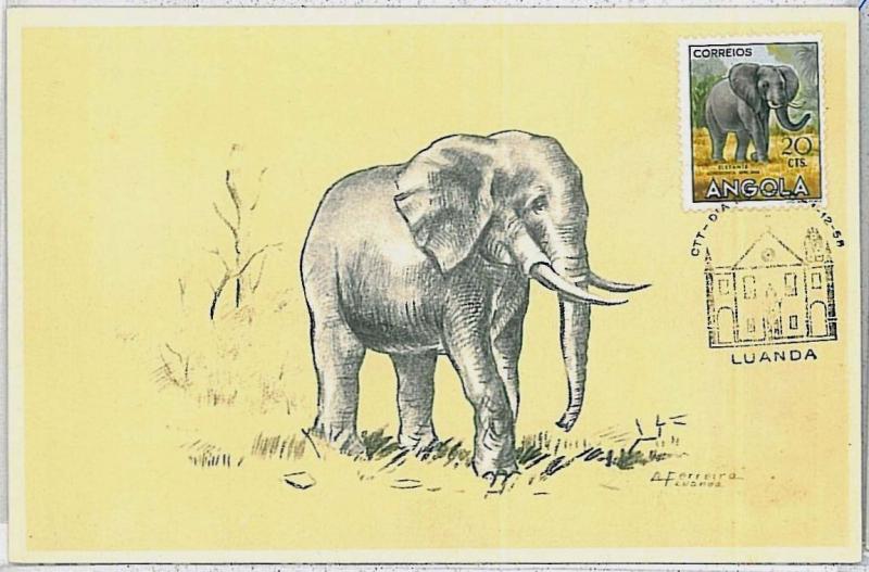 MAXIMUM CARD - POSTAL HISTORY - Angola: Elephants, Wild animals, 1958