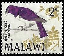 MALAWI   #96 USED (1)