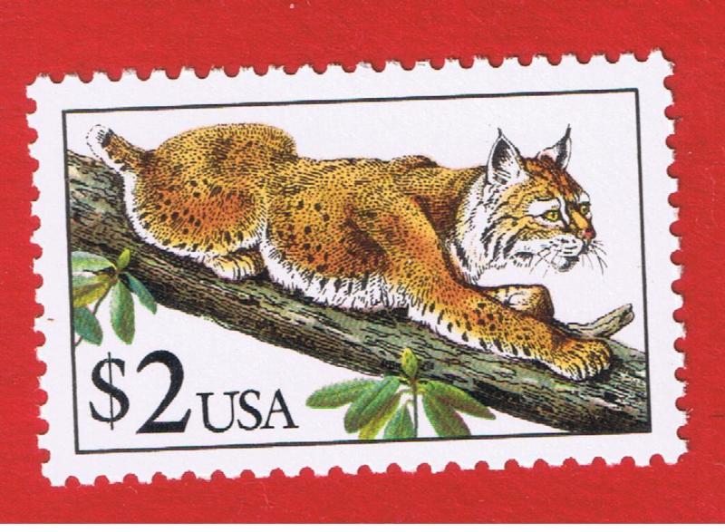 #2482 MVF-XFNH OG  Bobcat  Free S/H