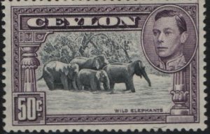 CEYLON 286D H VF WILD ELEPHANTS