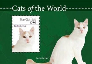 Gambia 2011 - Cats of the world - Souvenir stamp sheet - Scott #3368 - MNH