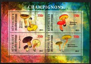 Ivory Coast 2013 Mushrooms (1) MNH Cinderella !