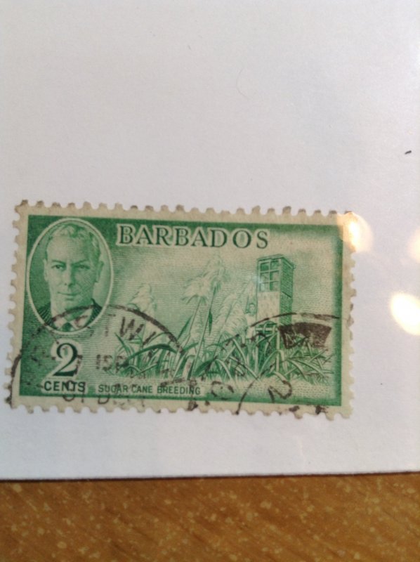 Barbados  # 217  Used